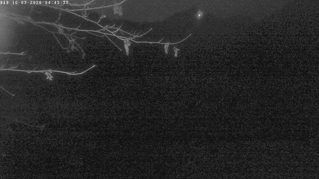 Archived image Webcam Oberstdorf: Freibergsee Sunbathing Area