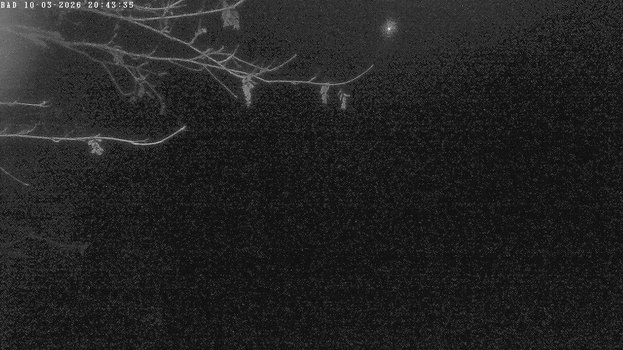 Archiv Foto Webcam Oberstdorf: Freibergsee Liegewiese