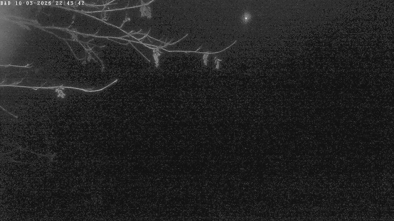 Archiv Foto Webcam Oberstdorf: Freibergsee Liegewiese