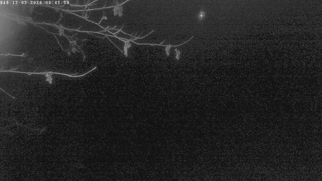 Archiv Foto Webcam Oberstdorf: Freibergsee Liegewiese