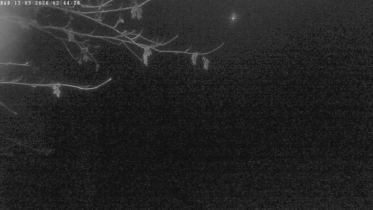 Archiv Foto Webcam Oberstdorf: Freibergsee Liegewiese