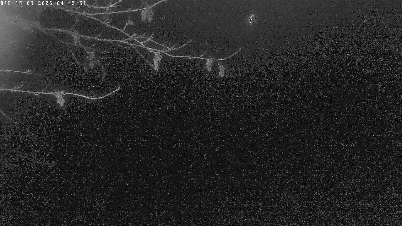 Archiv Foto Webcam Oberstdorf: Freibergsee Liegewiese