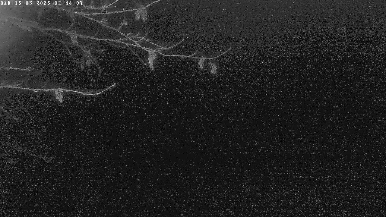 Archiv Foto Webcam Oberstdorf: Freibergsee Liegewiese