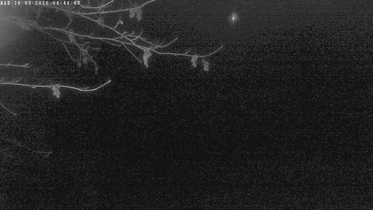 Archiv Foto Webcam Oberstdorf: Freibergsee Liegewiese