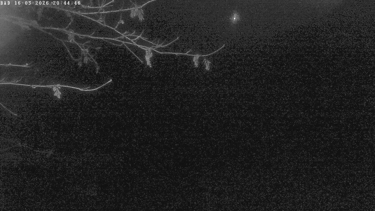 Archiv Foto Webcam Oberstdorf: Freibergsee Liegewiese