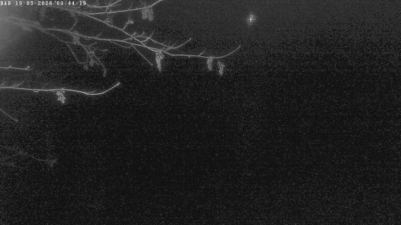 Archiv Foto Webcam Oberstdorf: Freibergsee Liegewiese