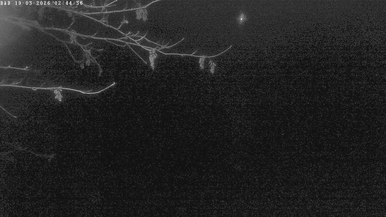 Archiv Foto Webcam Oberstdorf: Freibergsee Liegewiese