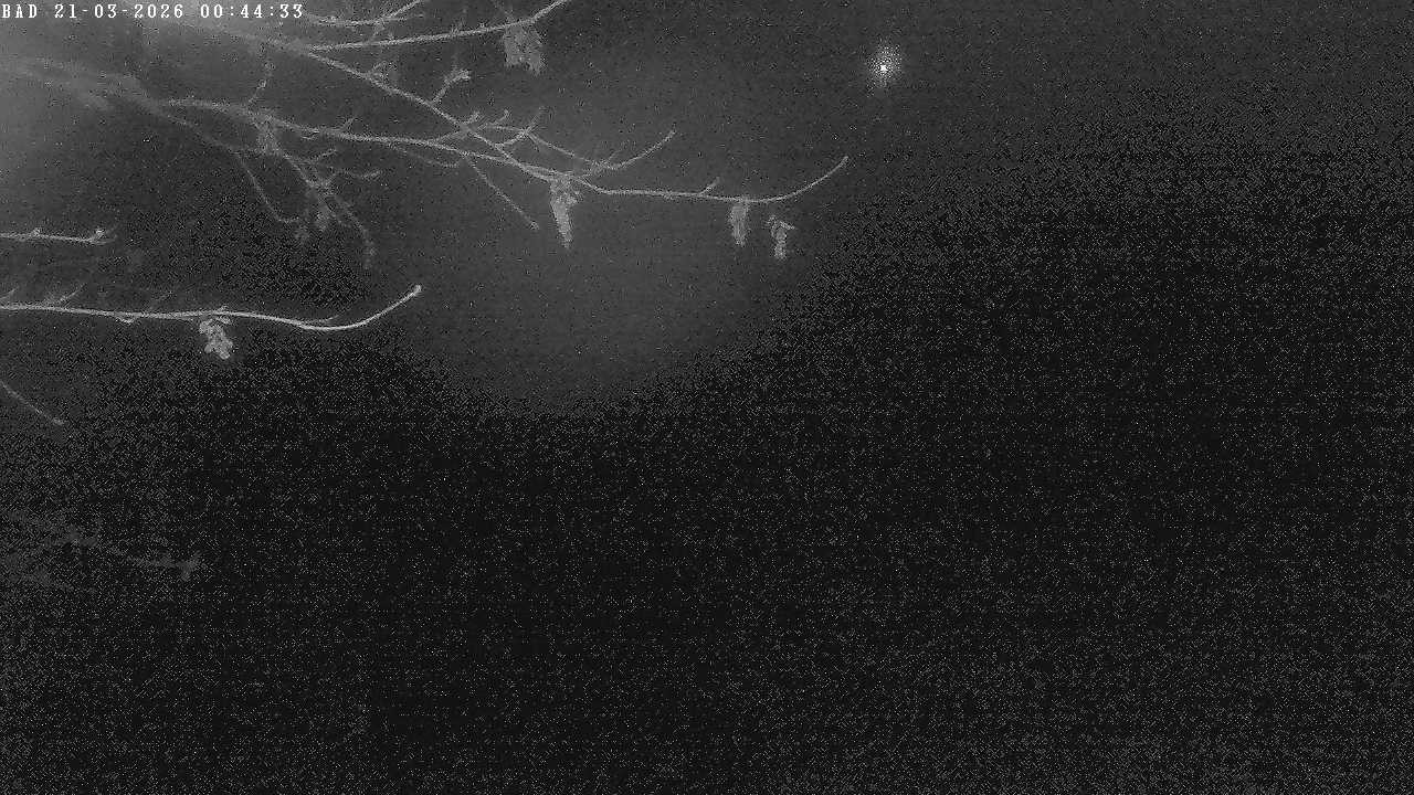 Archiv Foto Webcam Oberstdorf: Freibergsee Liegewiese