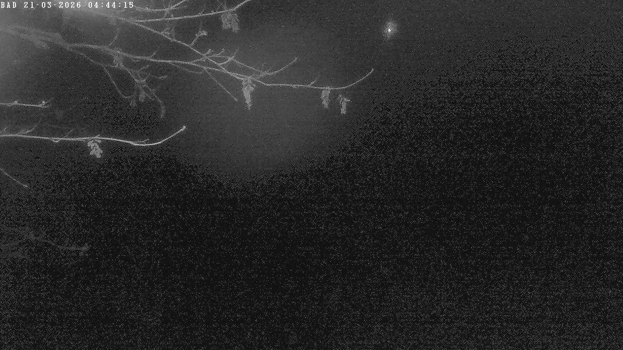 Archiv Foto Webcam Oberstdorf: Freibergsee Liegewiese