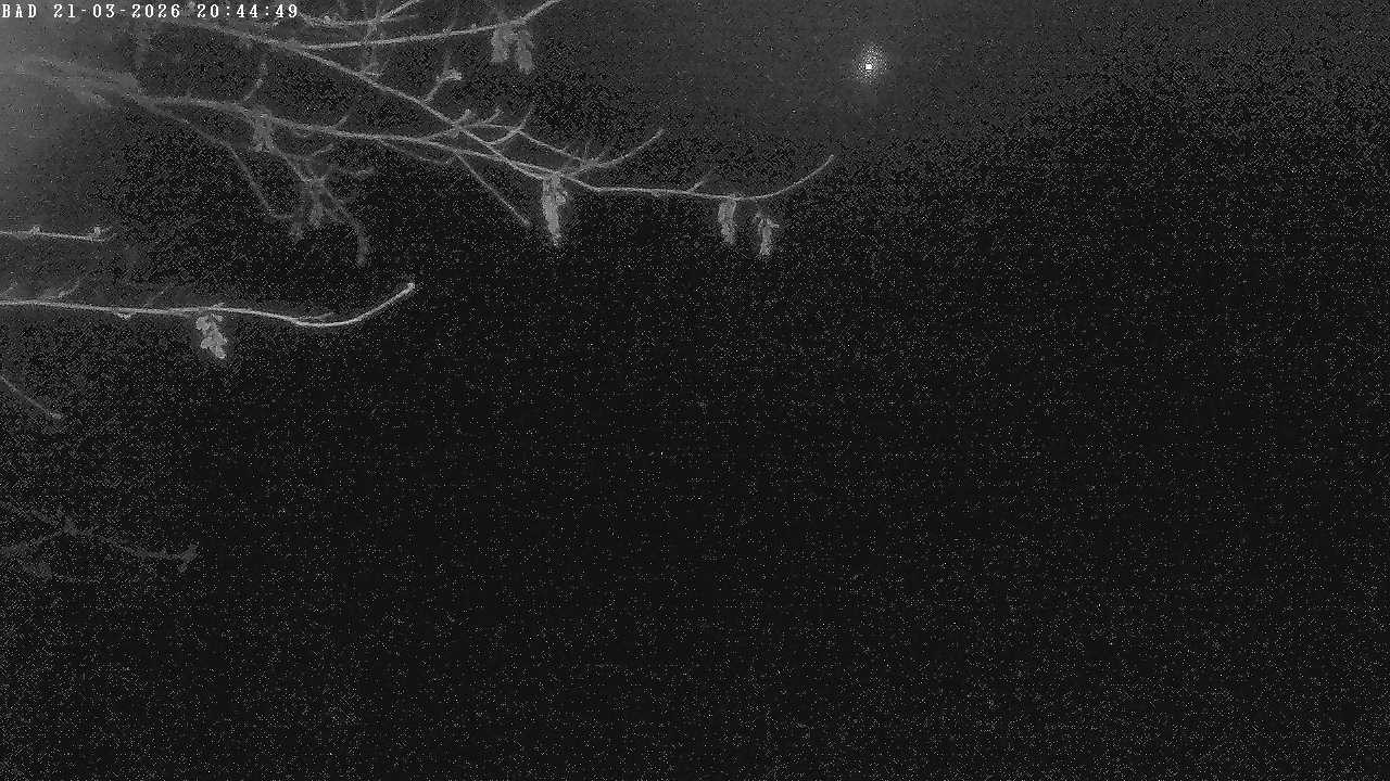 Archiv Foto Webcam Oberstdorf: Freibergsee Liegewiese