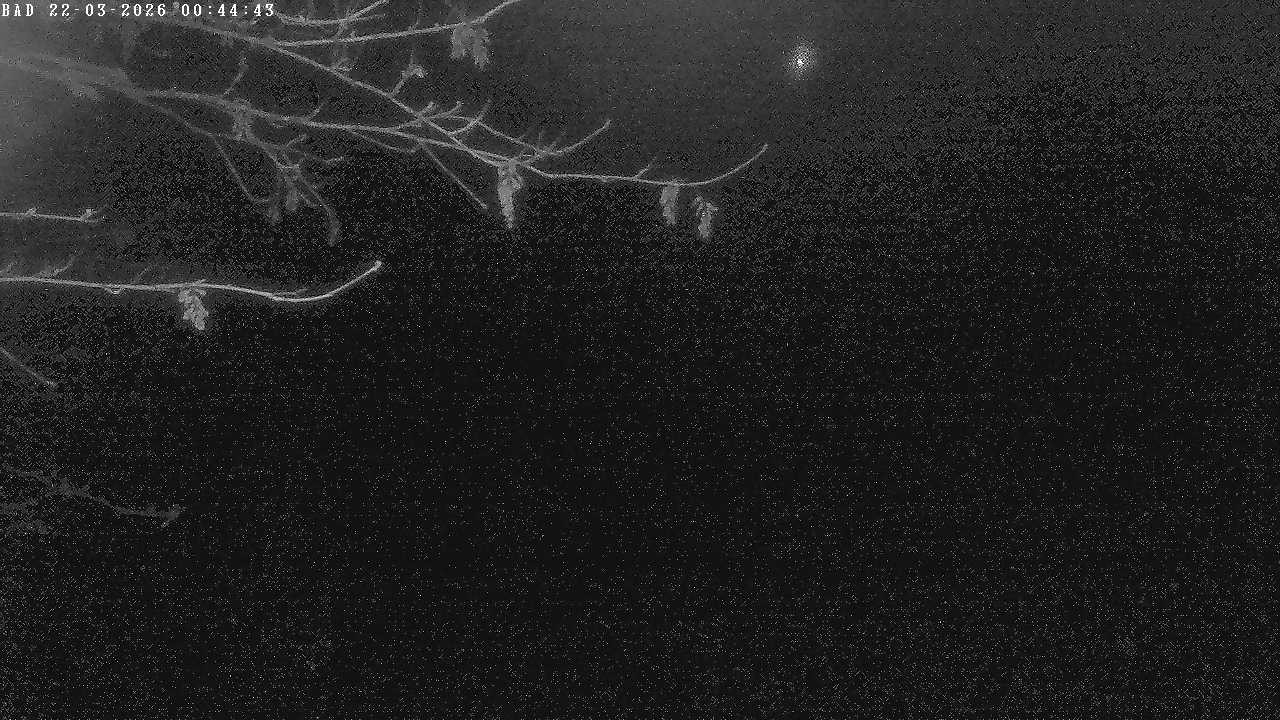 Archiv Foto Webcam Oberstdorf: Freibergsee Liegewiese