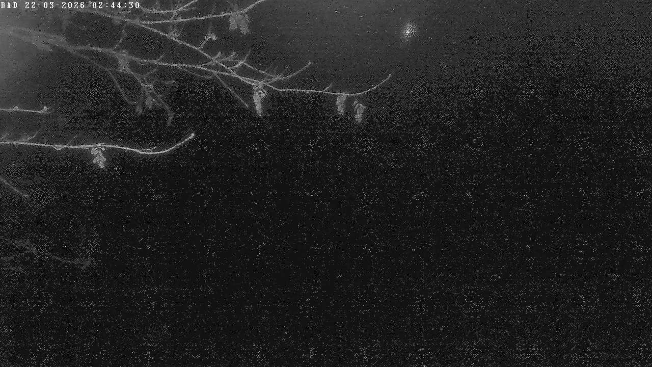 Archiv Foto Webcam Oberstdorf: Freibergsee Liegewiese