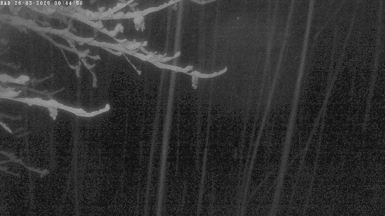 Archived image Webcam Oberstdorf: Freibergsee Sunbathing Area