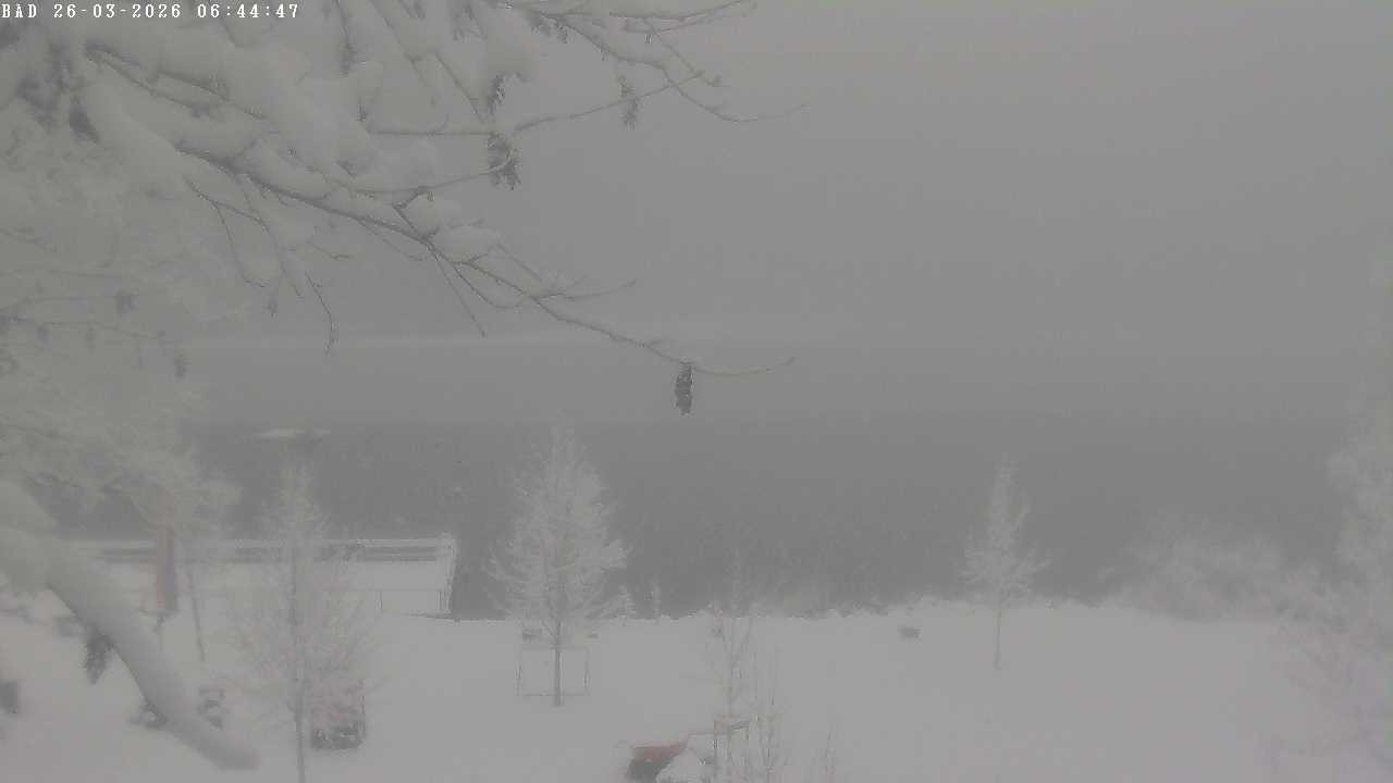 Archived image Webcam Oberstdorf: Freibergsee Sunbathing Area