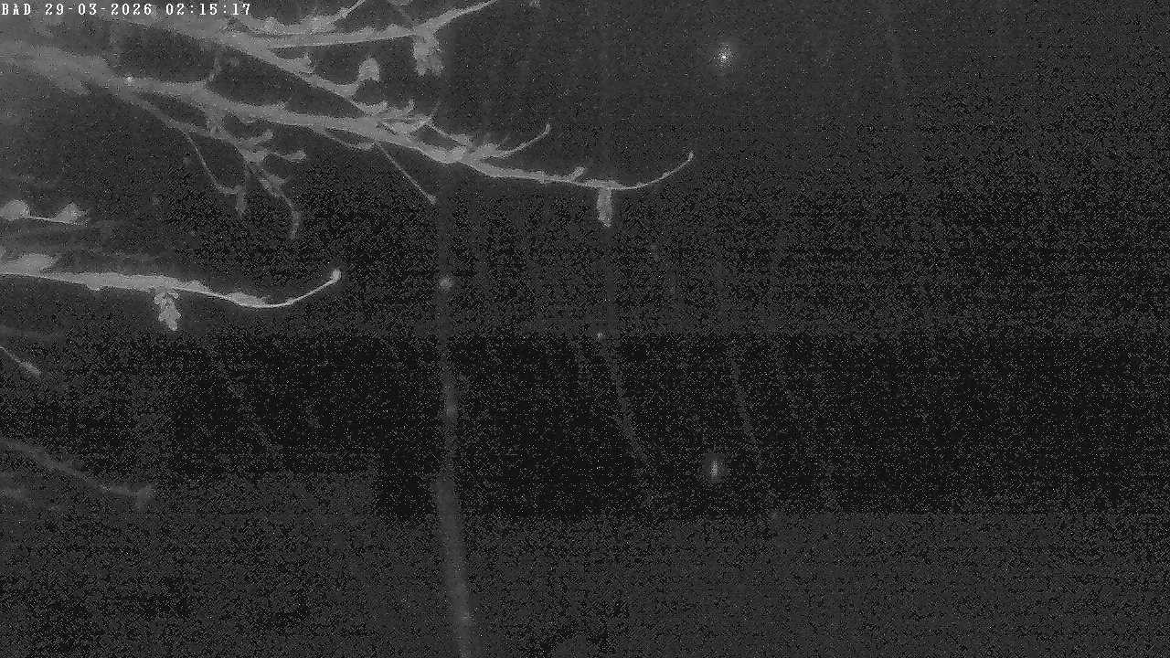 Archived image Webcam Oberstdorf: Freibergsee Sunbathing Area