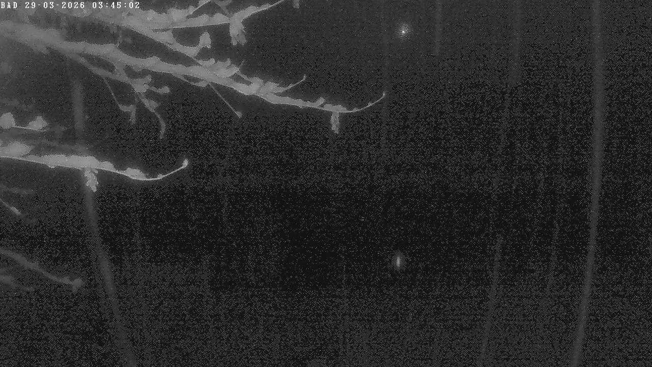 Archiv Foto Webcam Oberstdorf: Freibergsee Liegewiese