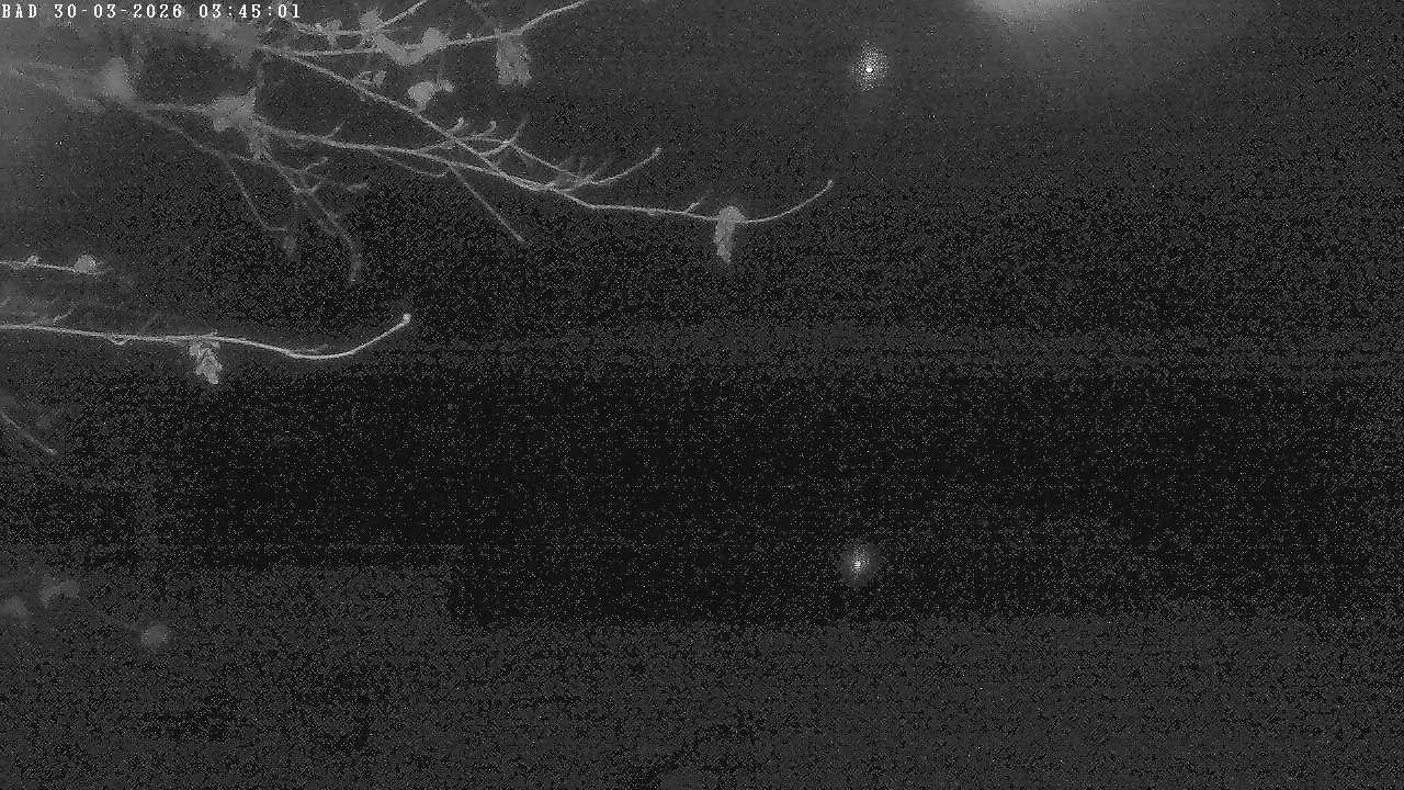 Archiv Foto Webcam Oberstdorf: Freibergsee Liegewiese