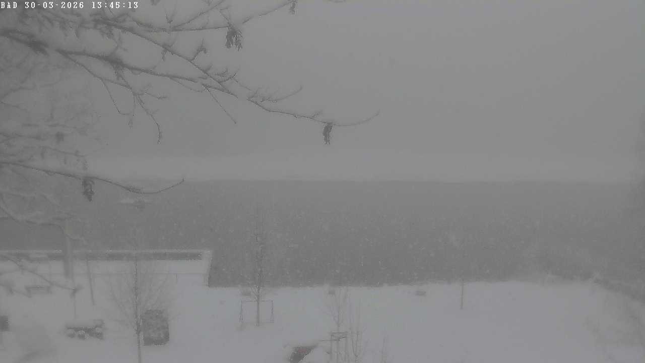 Archiv Foto Webcam Oberstdorf: Freibergsee Liegewiese