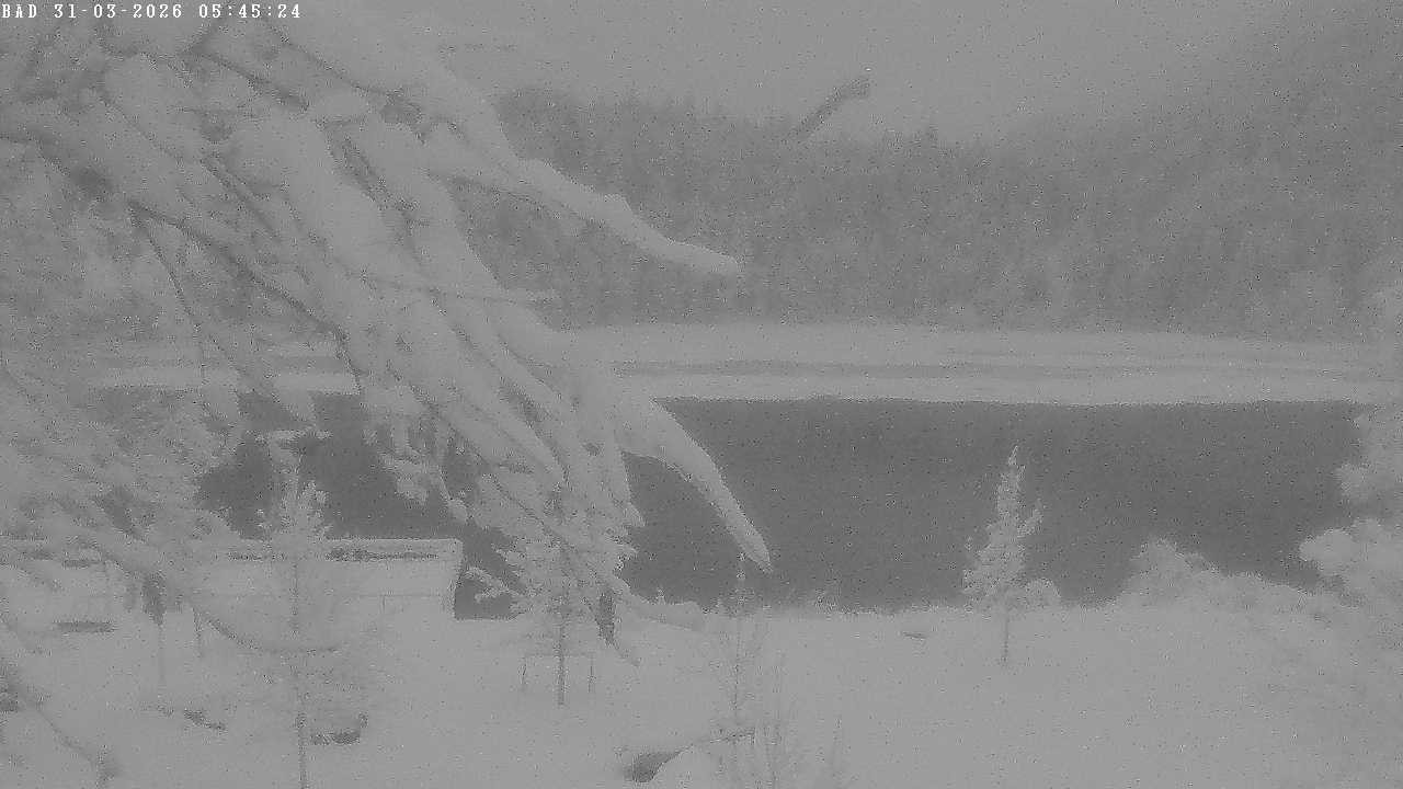 Archiv Foto Webcam Oberstdorf: Freibergsee Liegewiese