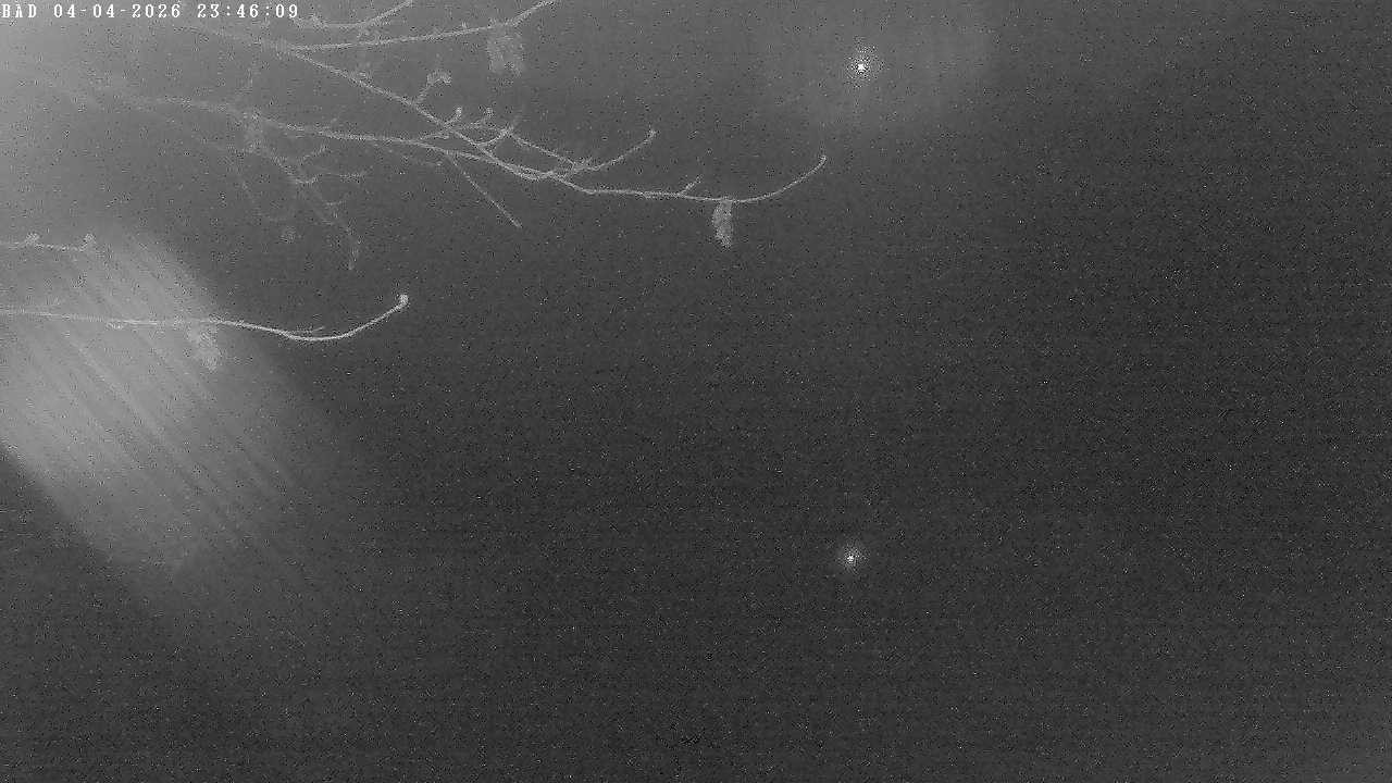 Archiv Foto Webcam Oberstdorf: Freibergsee Liegewiese