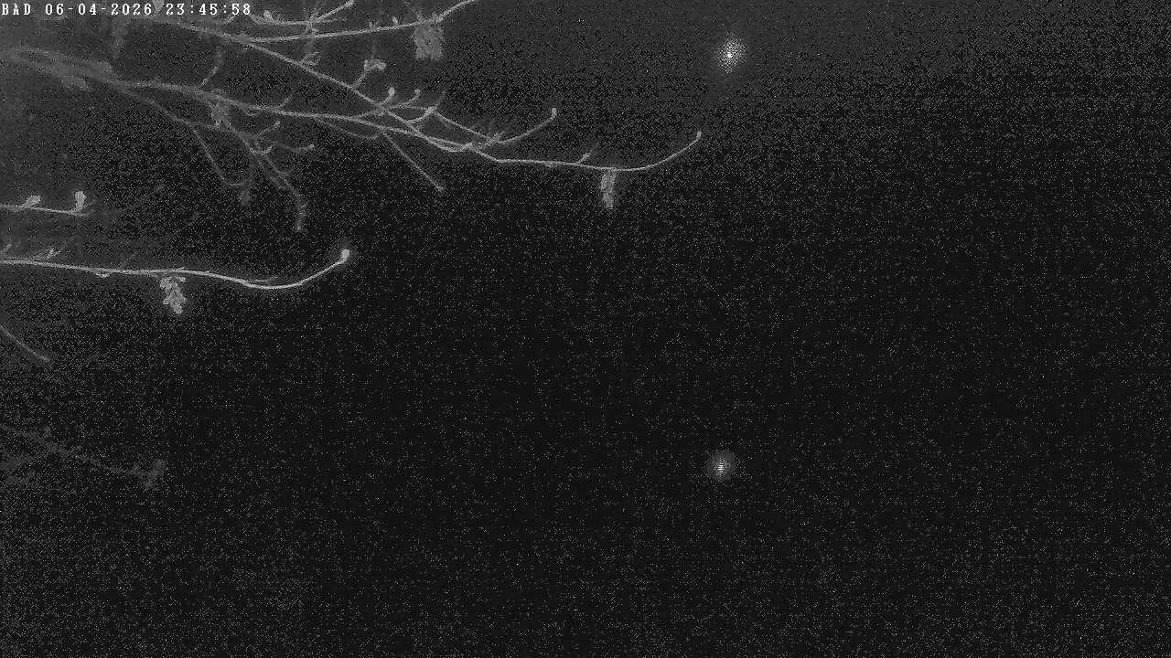 Archiv Foto Webcam Oberstdorf: Freibergsee Liegewiese