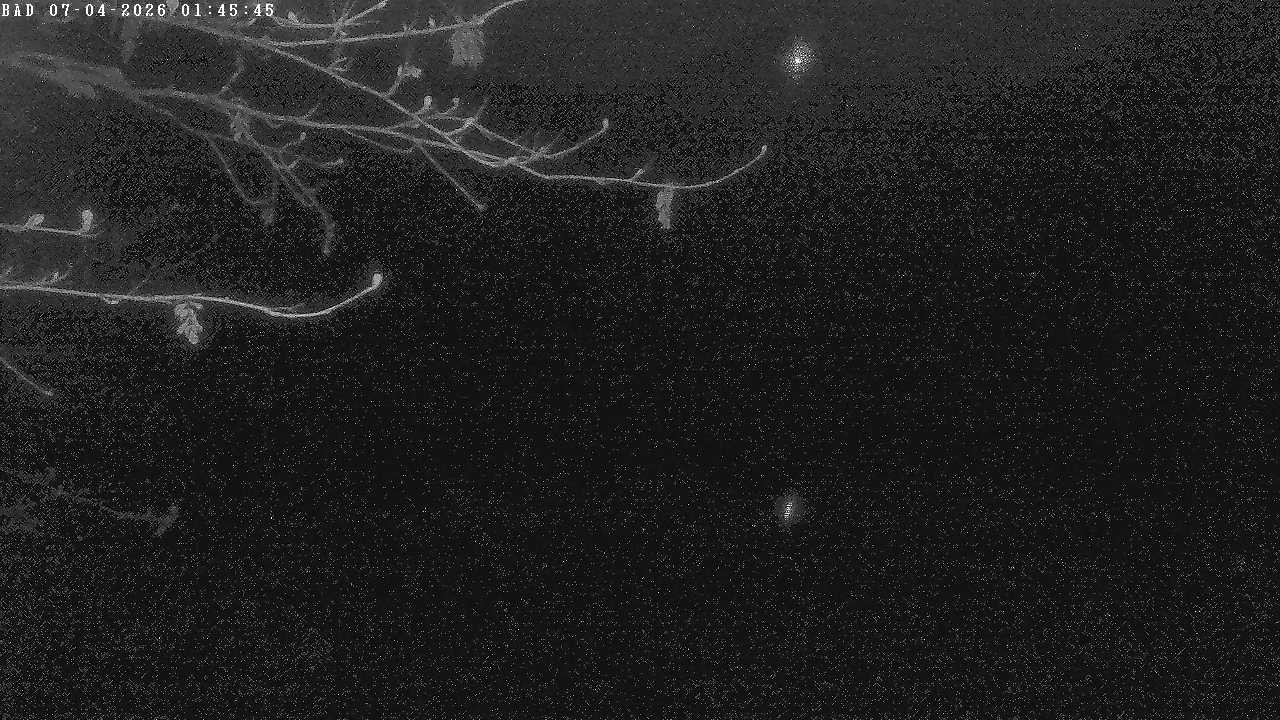 Archiv Foto Webcam Oberstdorf: Freibergsee Liegewiese