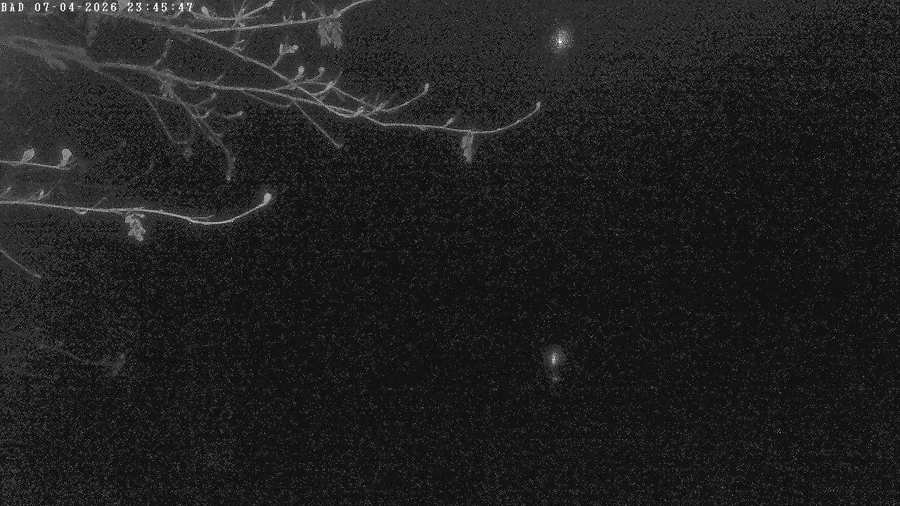 Archived image Webcam Oberstdorf: Freibergsee Sunbathing Area