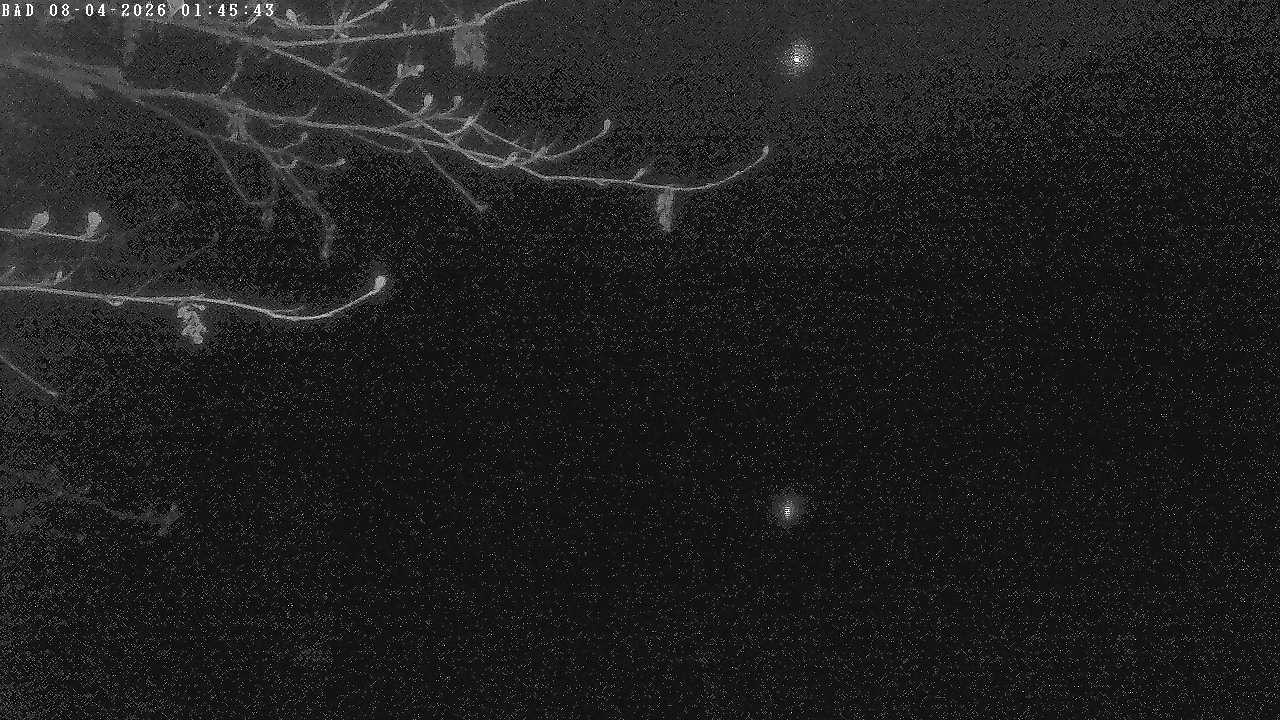 Archived image Webcam Oberstdorf: Freibergsee Sunbathing Area