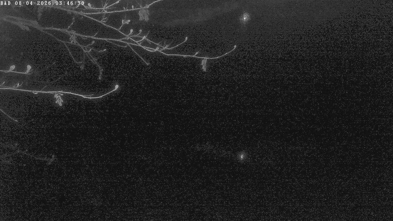 Archived image Webcam Oberstdorf: Freibergsee Sunbathing Area