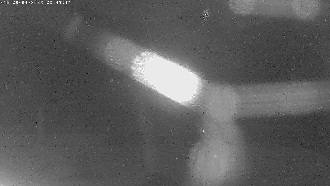 Archiv Foto Webcam Oberstdorf: Freibergsee Liegewiese