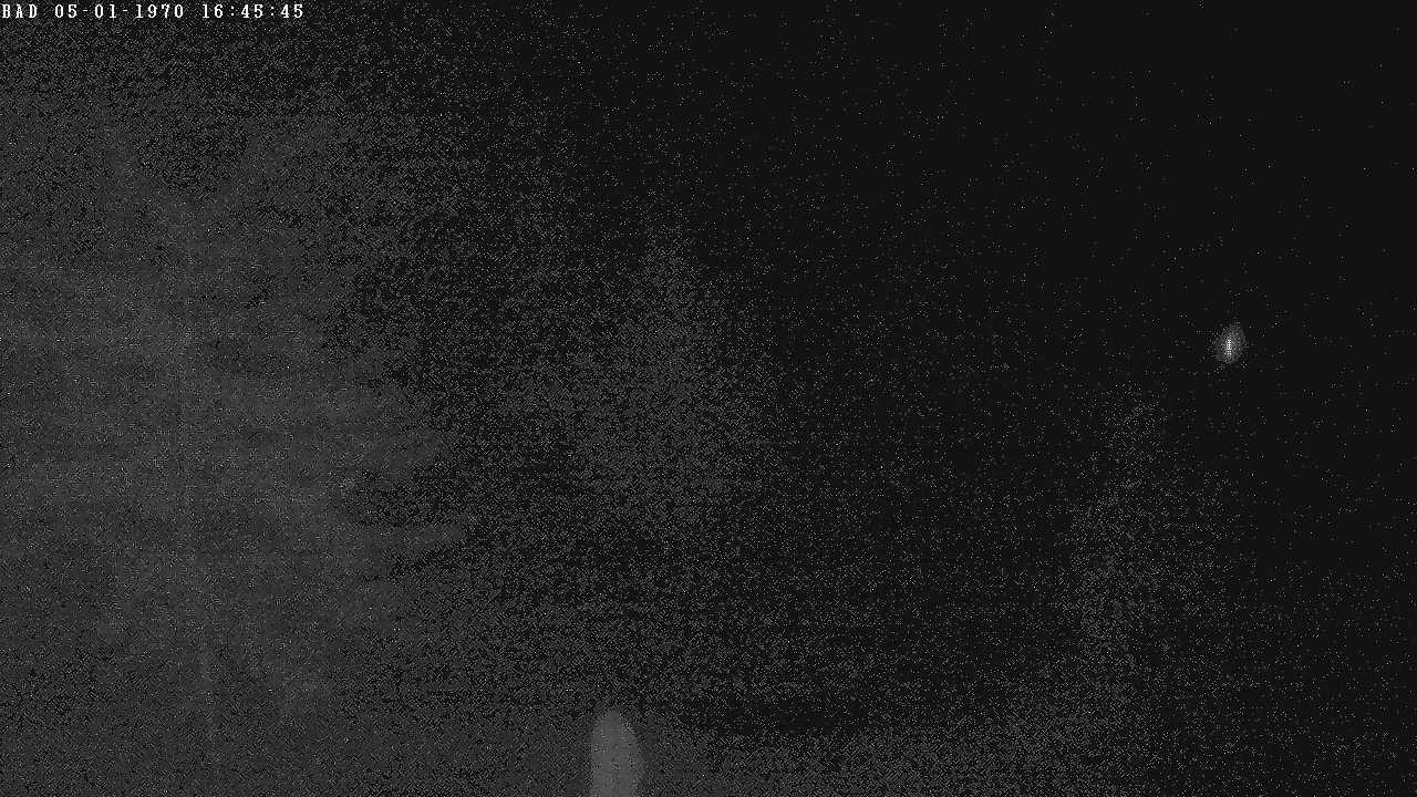 Archiv Foto Webcam Oberstdorf: Freibergsee Liegewiese