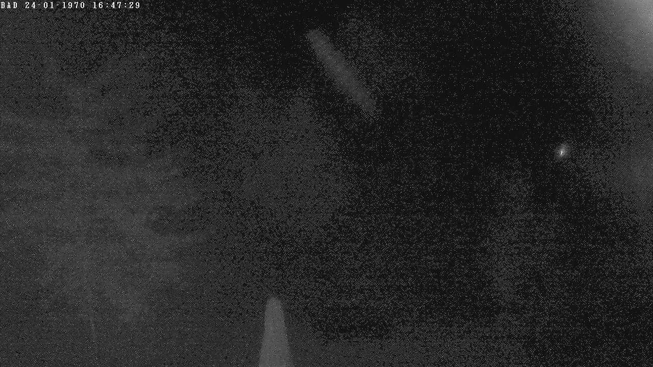Archiv Foto Webcam Oberstdorf: Freibergsee Liegewiese