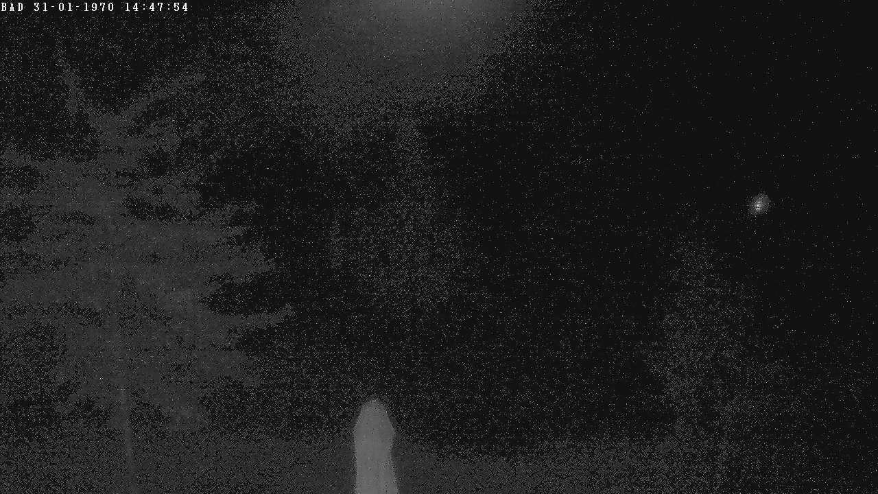 Archiv Foto Webcam Oberstdorf: Freibergsee Liegewiese