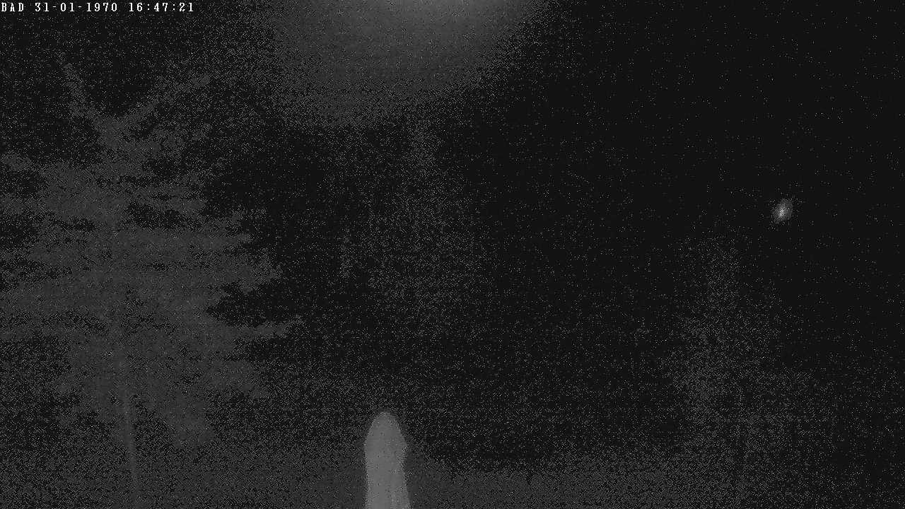 Archiv Foto Webcam Oberstdorf: Freibergsee Liegewiese