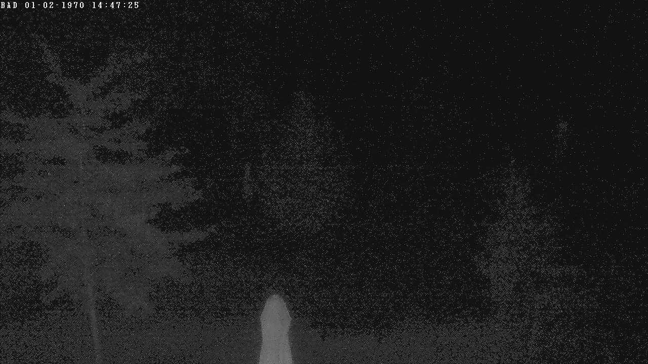 Archiv Foto Webcam Oberstdorf: Freibergsee Liegewiese