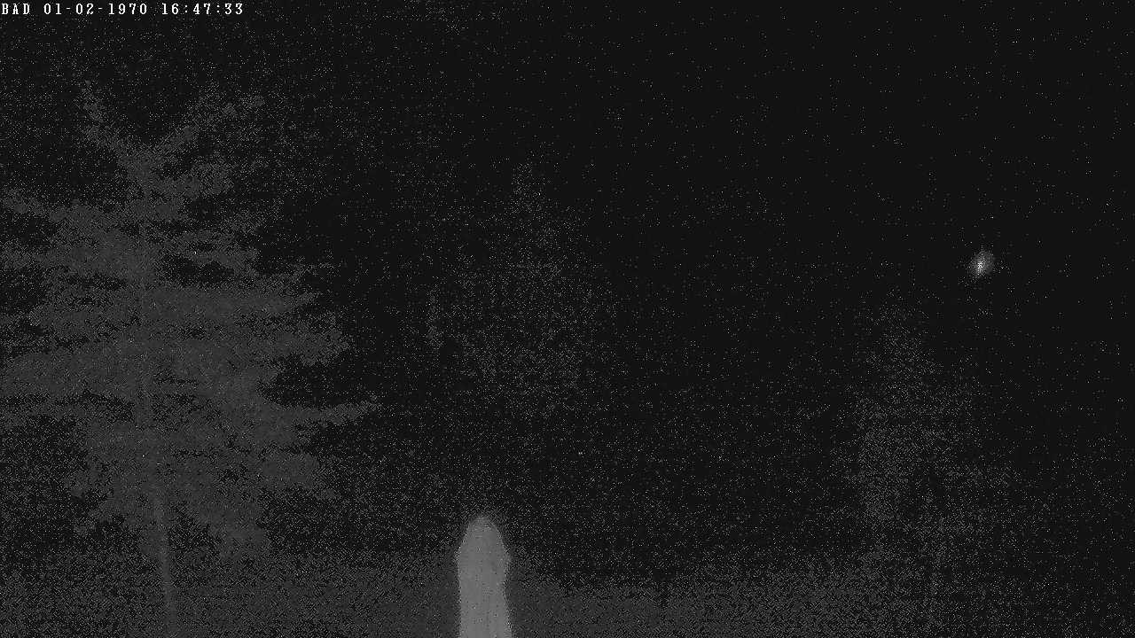 Archiv Foto Webcam Oberstdorf: Freibergsee Liegewiese