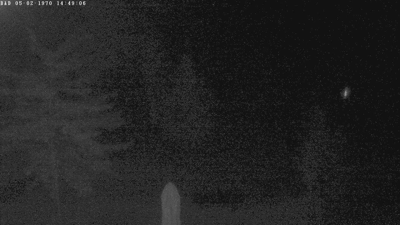 Archiv Foto Webcam Oberstdorf: Freibergsee Liegewiese