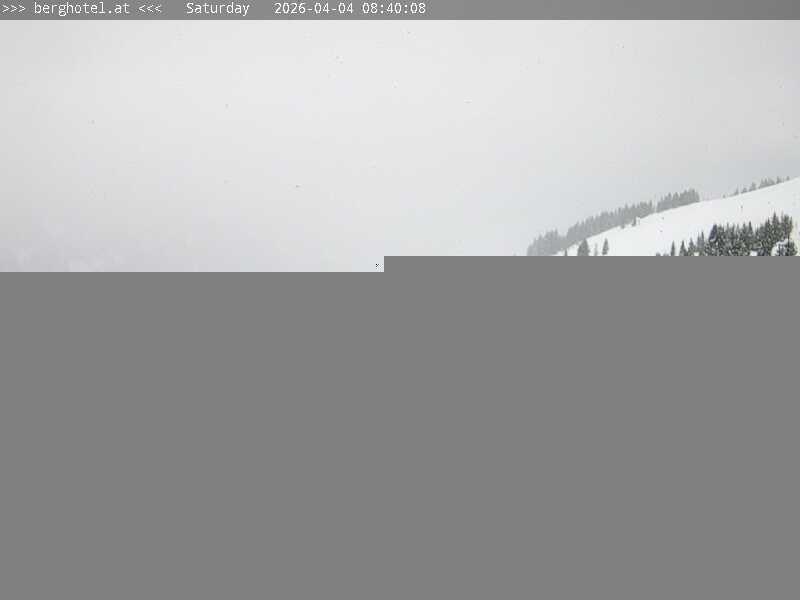 Archiv Foto Webcam Saalbach Hinterglemm - Berghotel Seidl-Alm