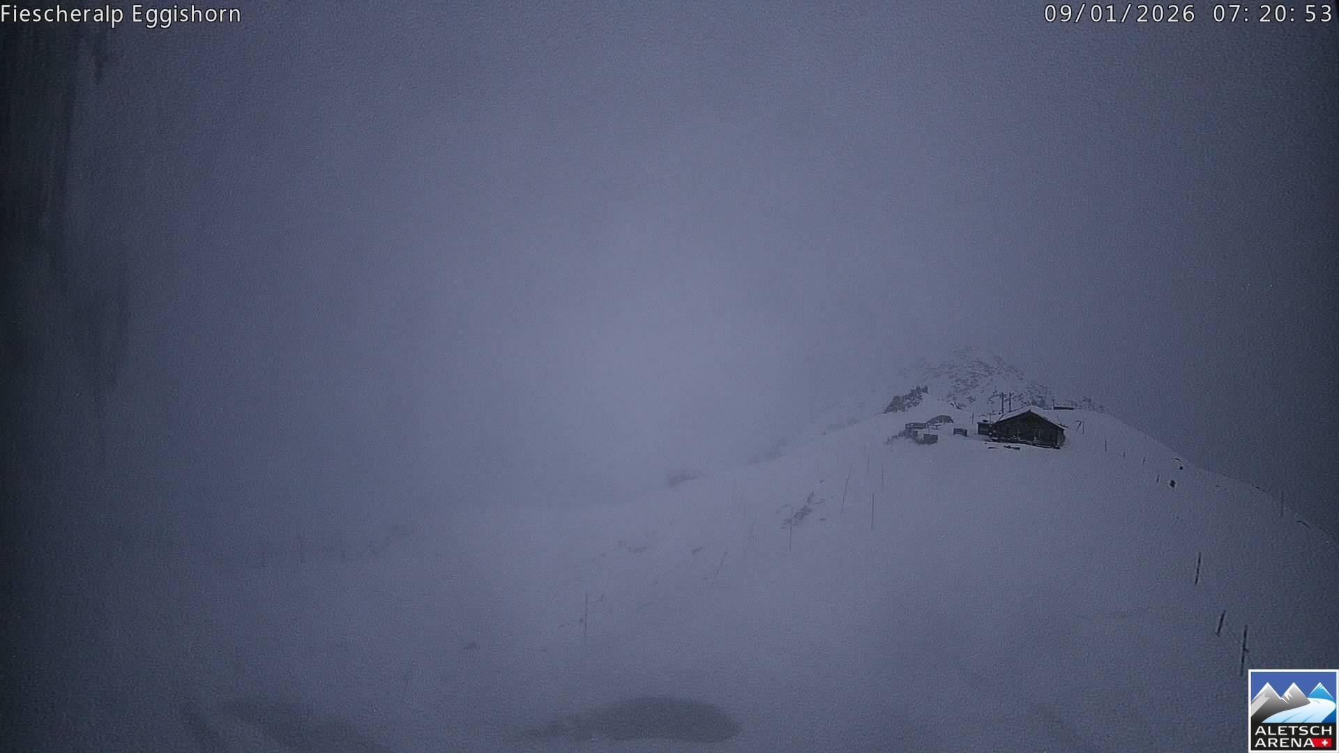 Archiv Foto Webcam Aletsch Arena: Grosser Aletschgletscher (Eggishorn)