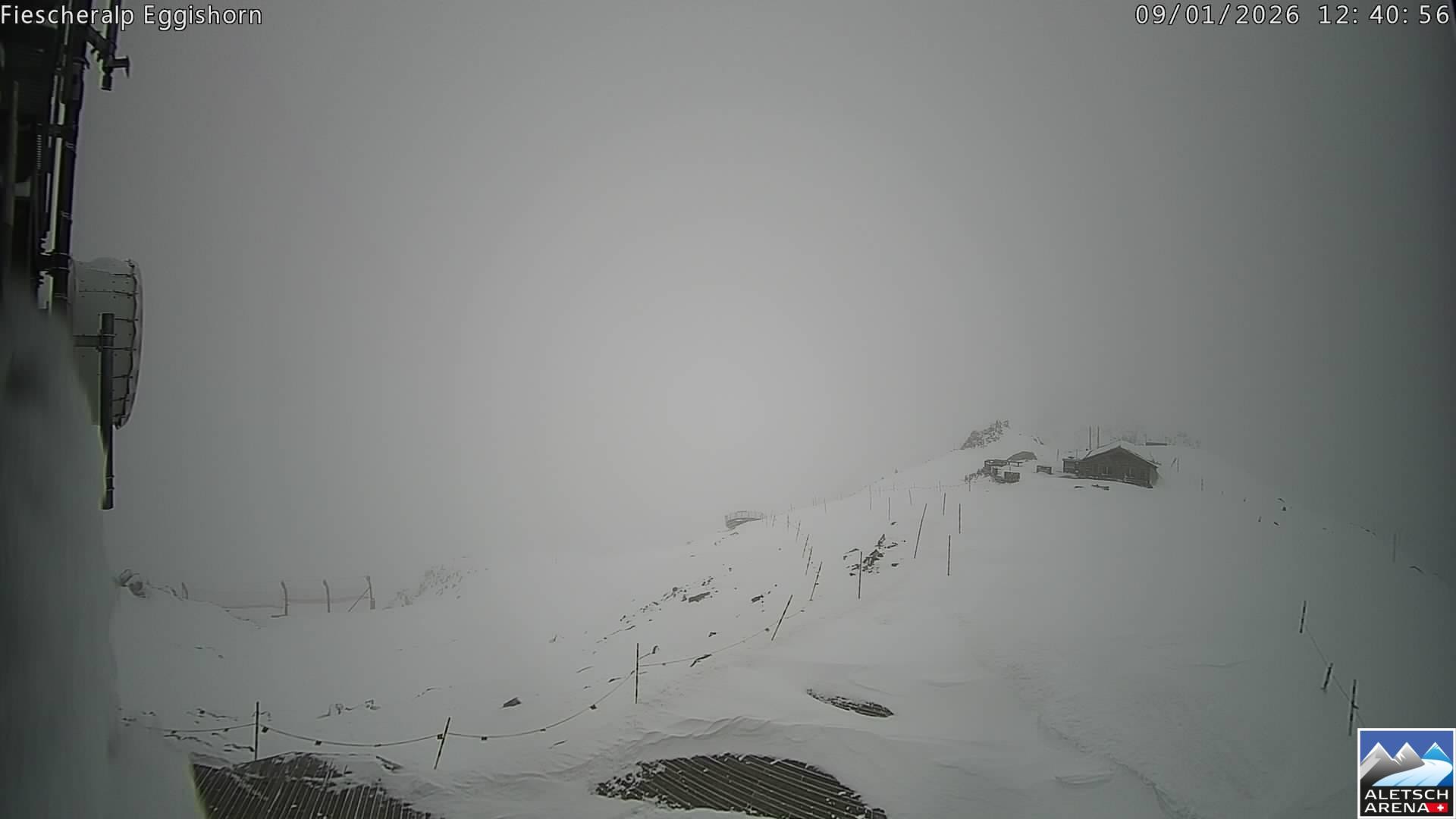 Archiv Foto Webcam Aletsch Arena: Grosser Aletschgletscher (Eggishorn)