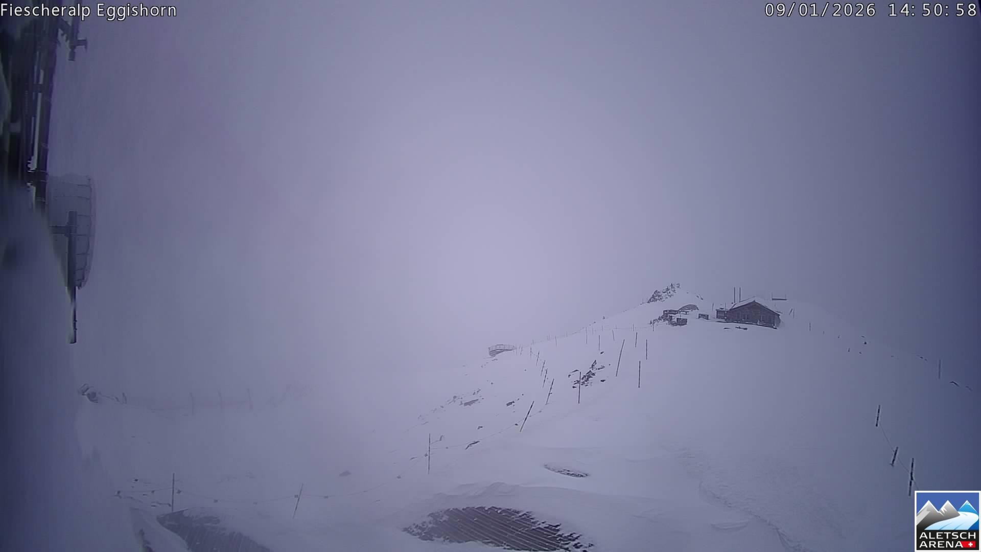 Archiv Foto Webcam Aletsch Arena: Grosser Aletschgletscher (Eggishorn)