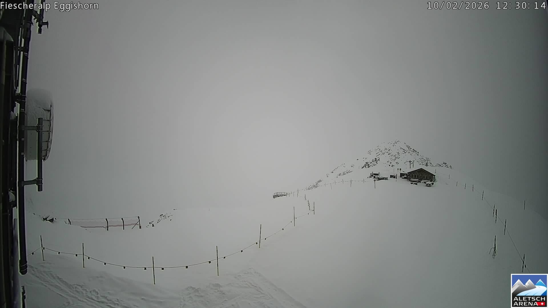 Archiv Foto Webcam Aletsch Arena: Grosser Aletschgletscher (Eggishorn)