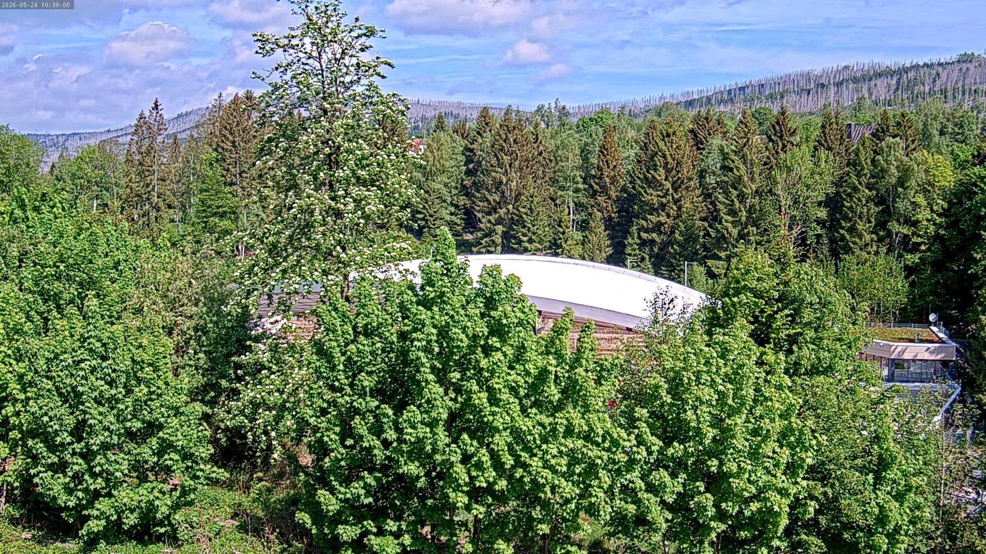 Archiv Foto Webcam Schierke: Blick zur Multifunktionsarena