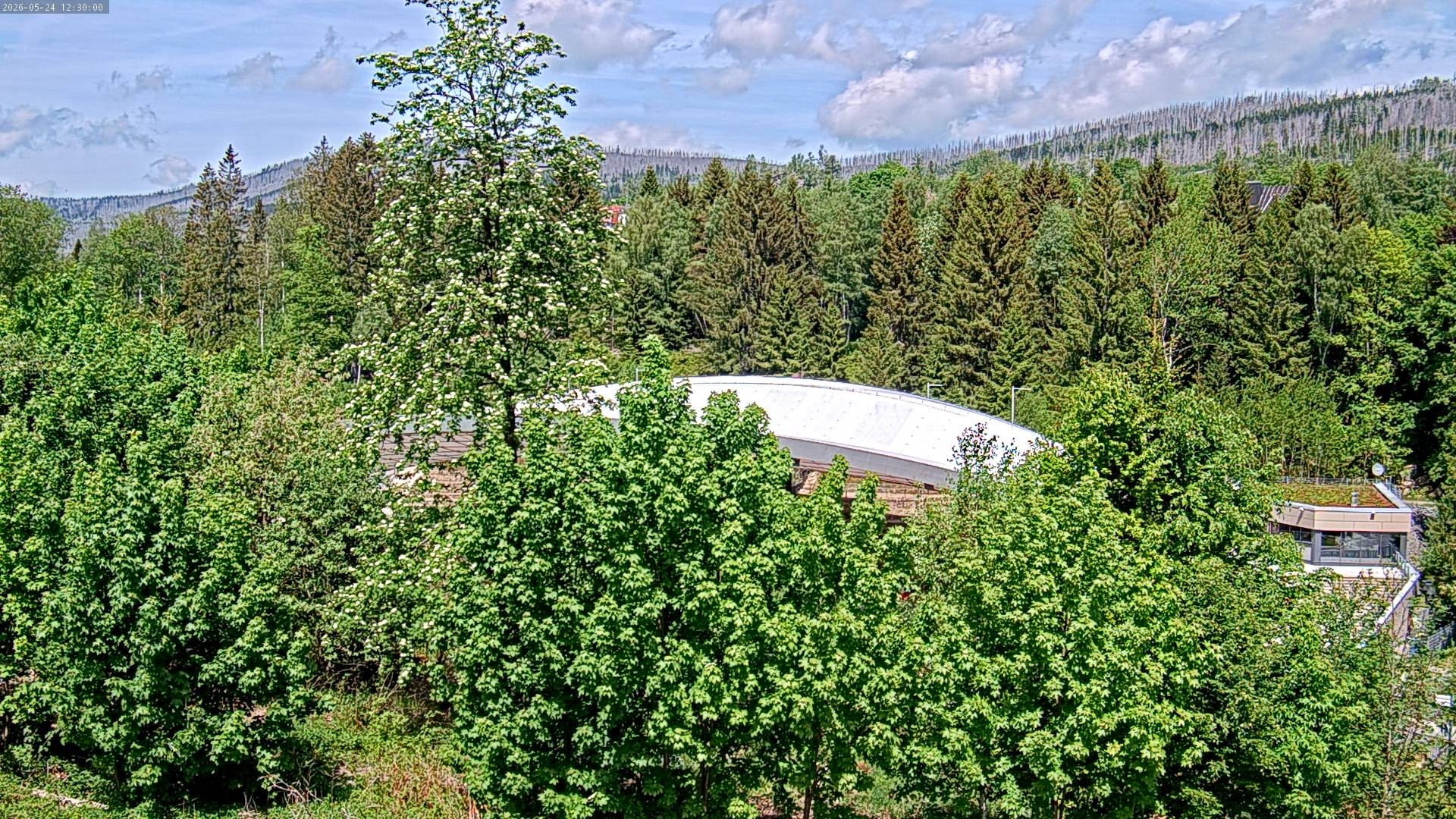 Archiv Foto Webcam Schierke: Blick zur Multifunktionsarena