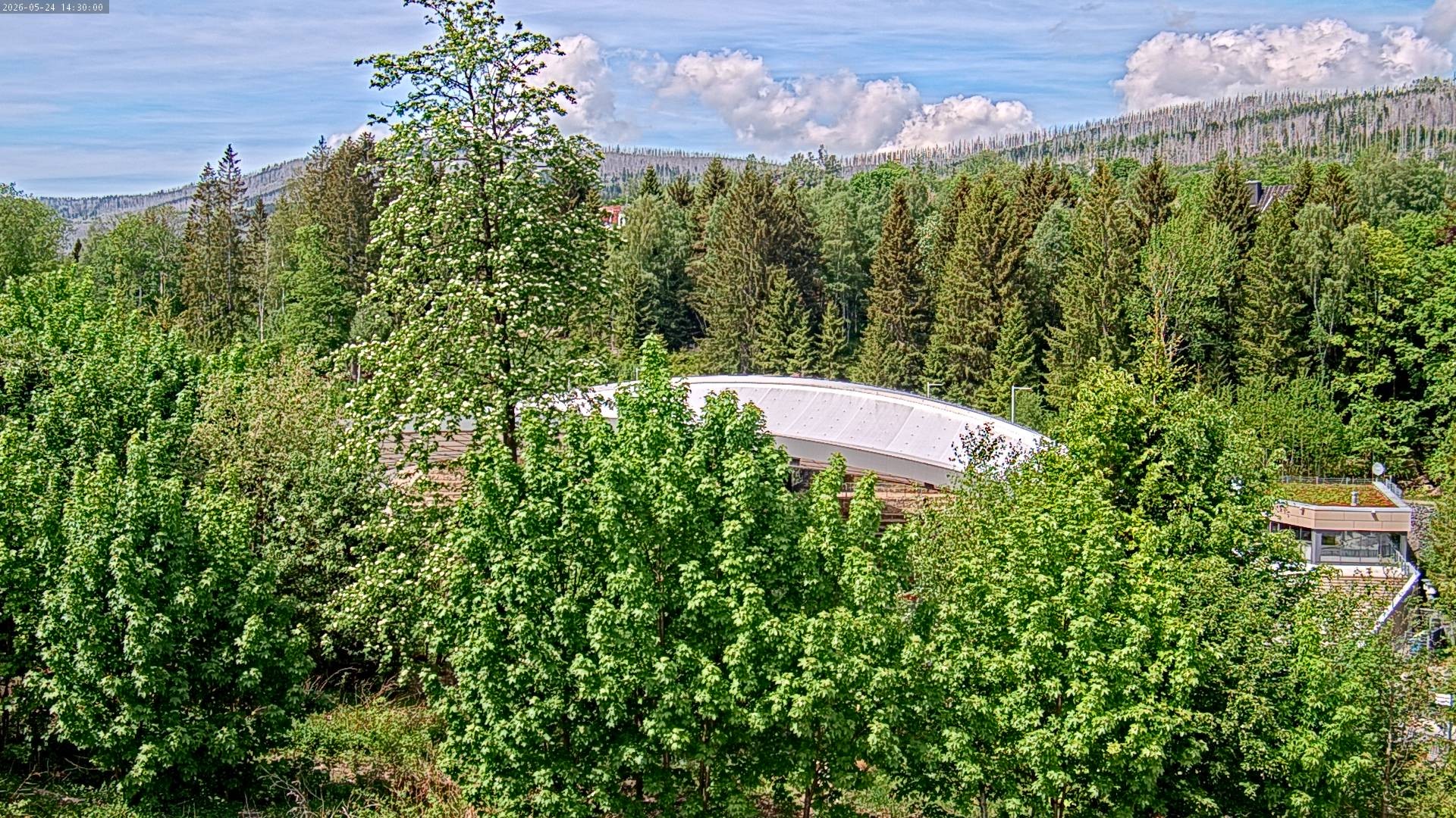 Archiv Foto Webcam Schierke: Blick zur Multifunktionsarena