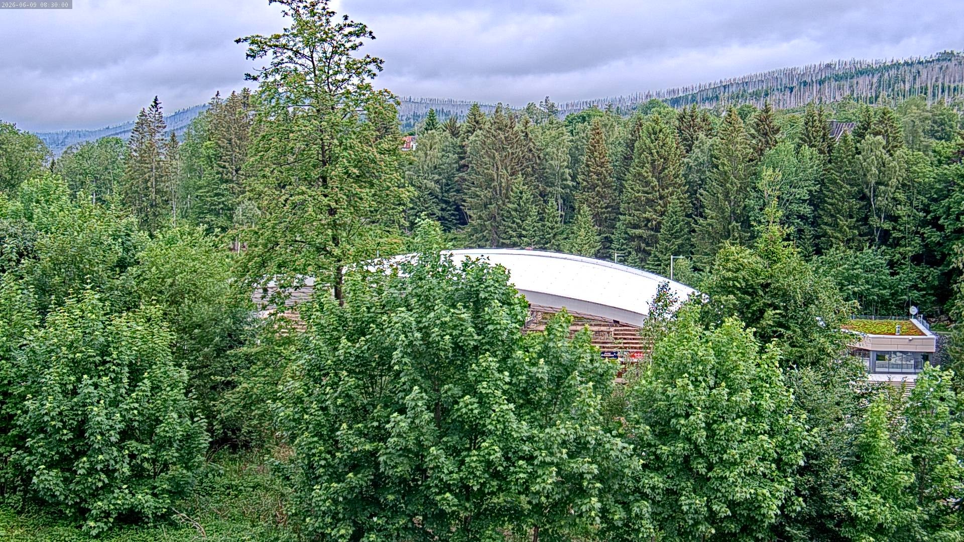 Archived image Webcam Schierke - Multifunctional Arena