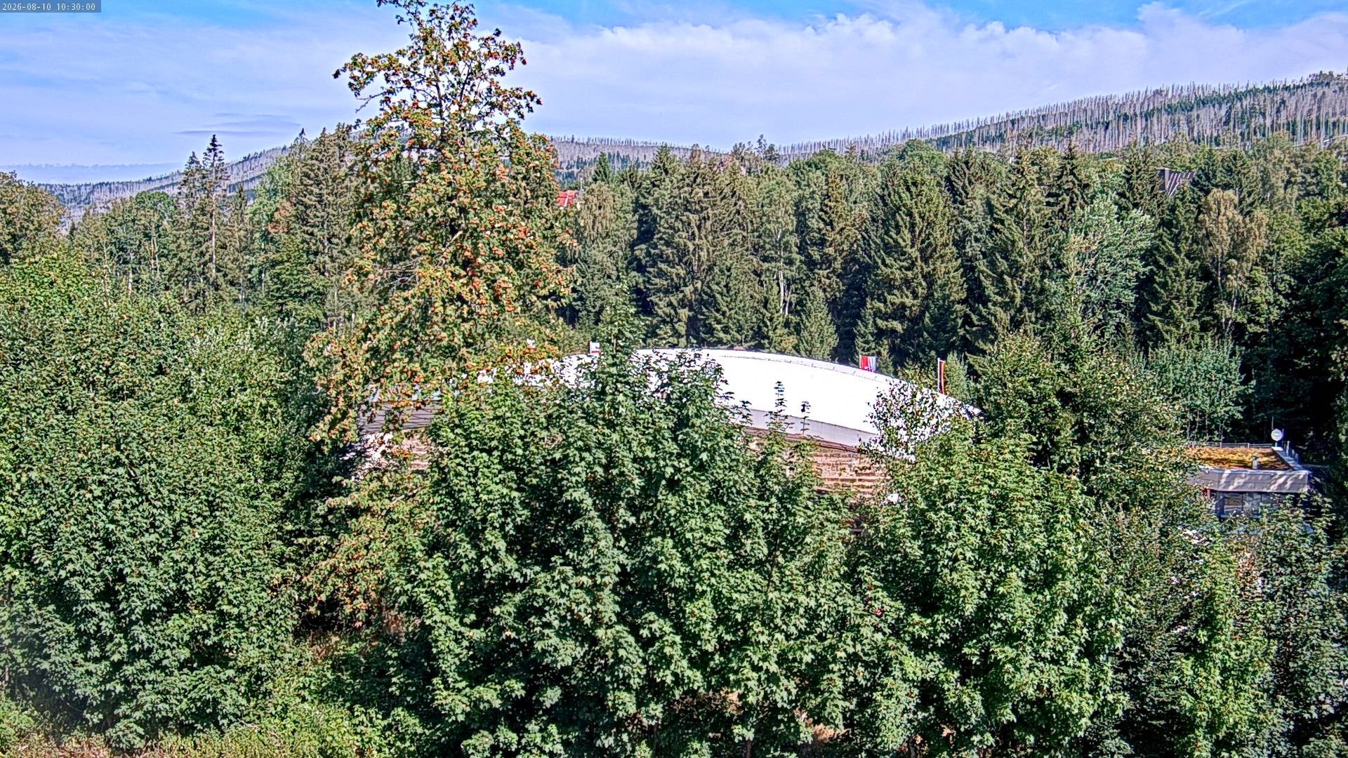 Archived image Webcam Schierke - Multifunctional Arena