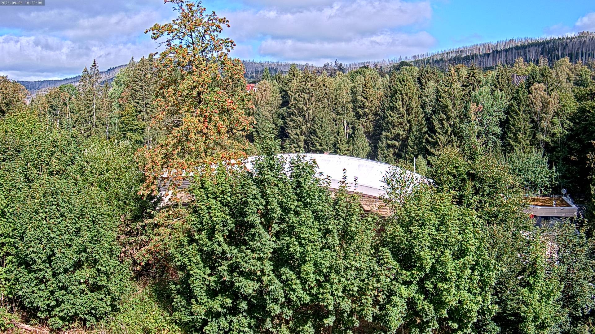 Archiv Foto Webcam Schierke: Blick zur Multifunktionsarena