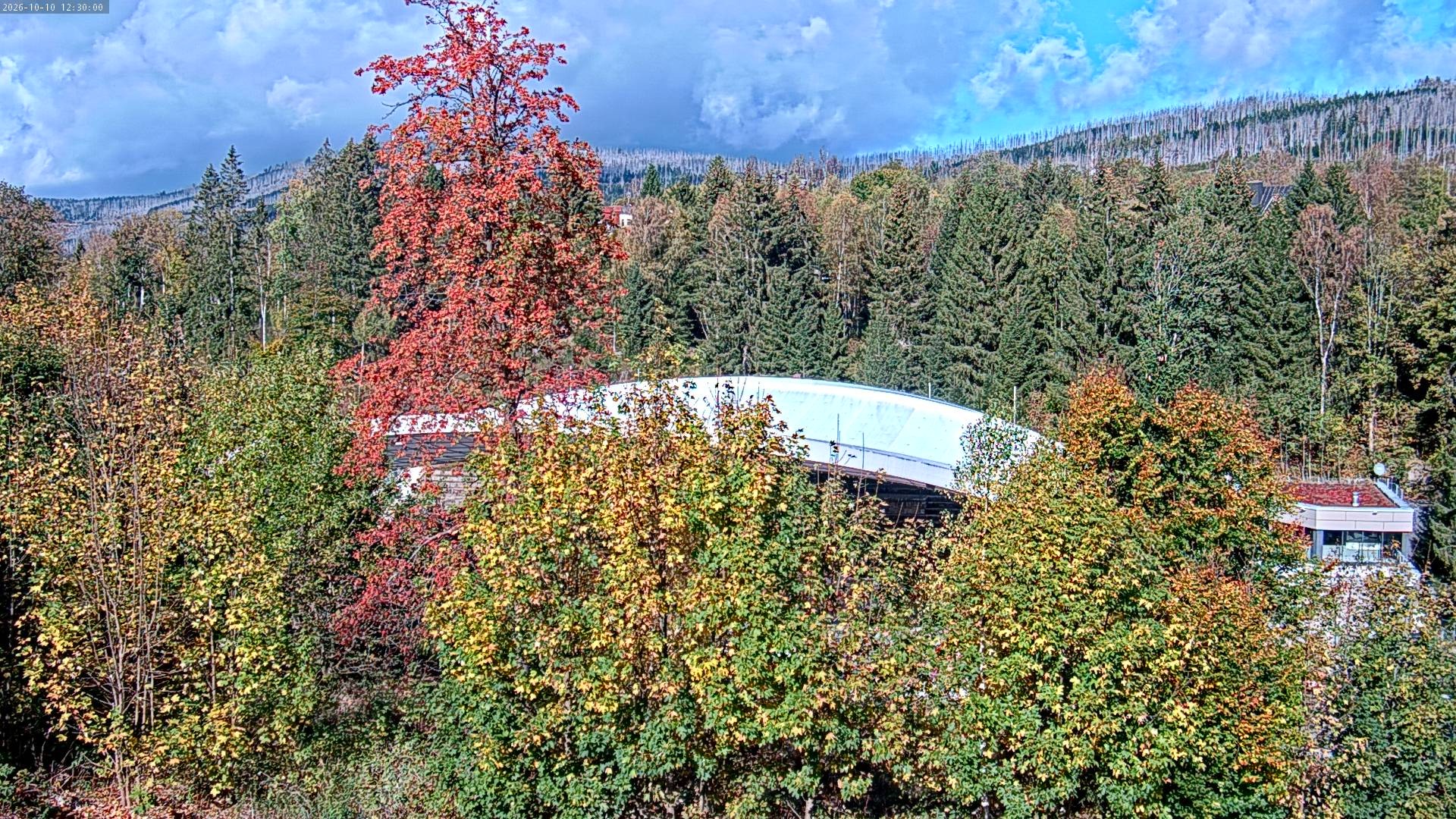 Archived image Webcam Schierke - Multifunctional Arena