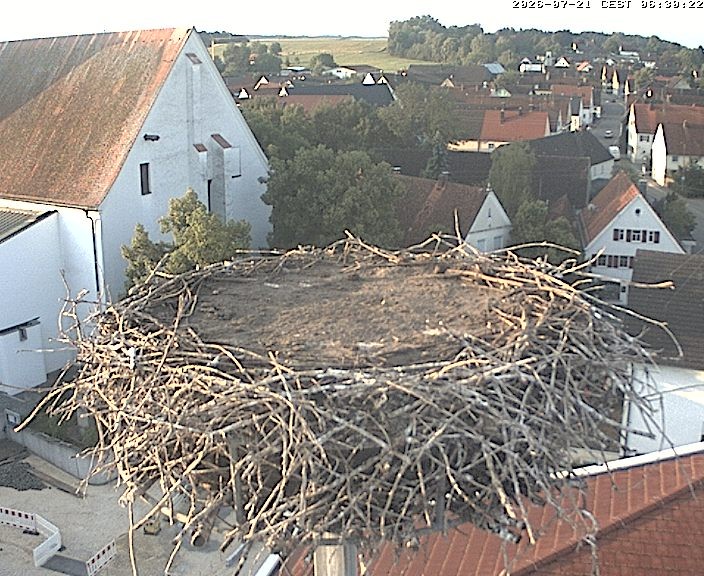 Archiv Foto Webcam Storchencam auf dem Rathaus Jettingen-Scheppach